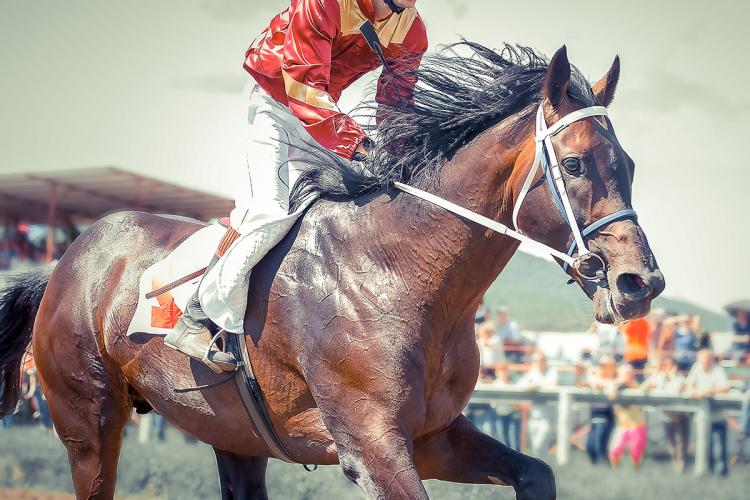 ミント ジュレップを飲みながら秋の競馬観戦を楽しもう イエノミスタイル 家飲みを楽しむ人の情報サイト